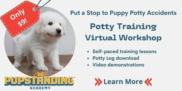 Potty training class for dogs best sale