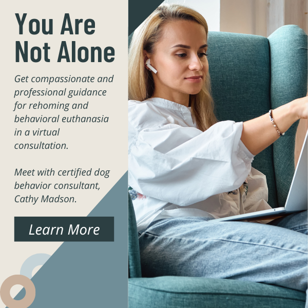 New call-to-action