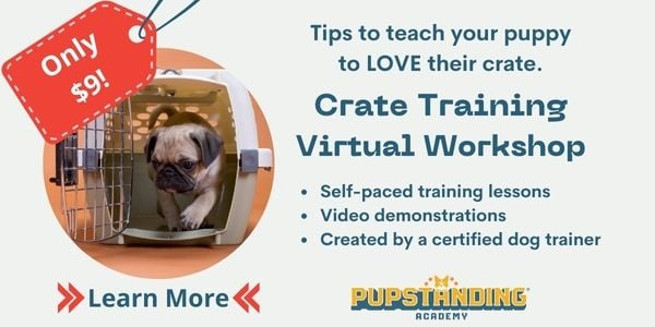 Crate Training Your Puppy at Night Preventive Vet