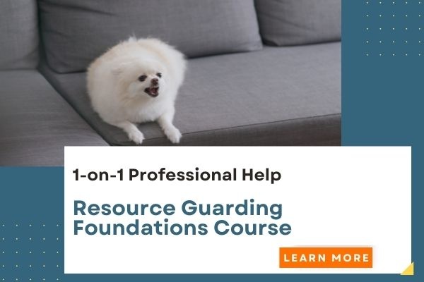 can a dog be trained to stop resource guarding